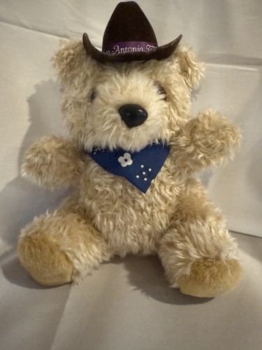Piccolo orso san - orso,